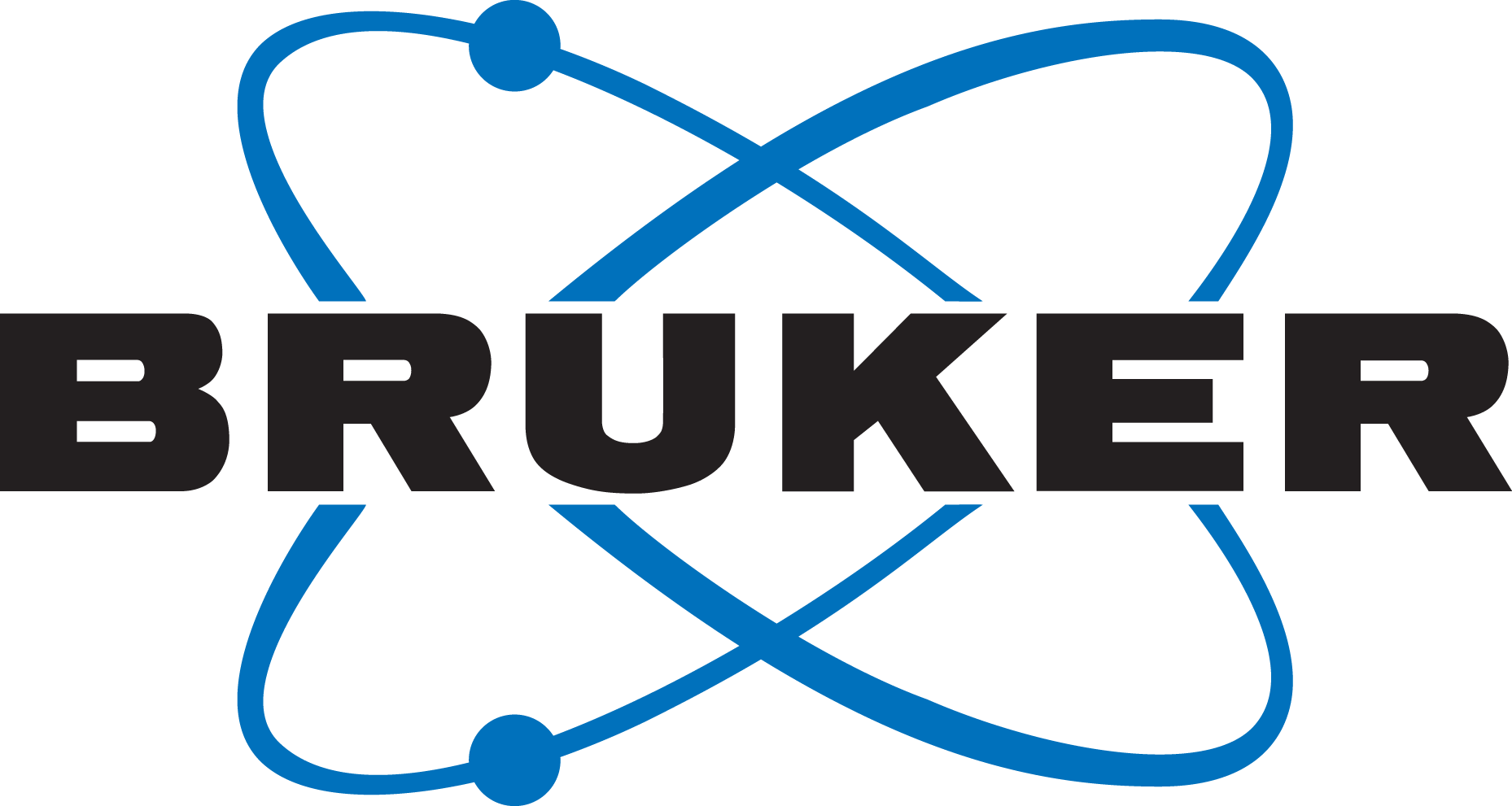 Bruker Logo